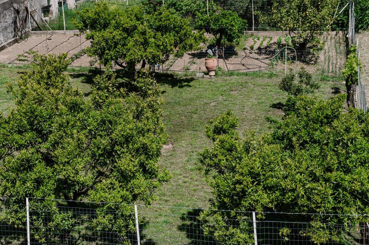 Zandre Shiny Apartment Nea Poteidaia Zewnętrze zdjęcie